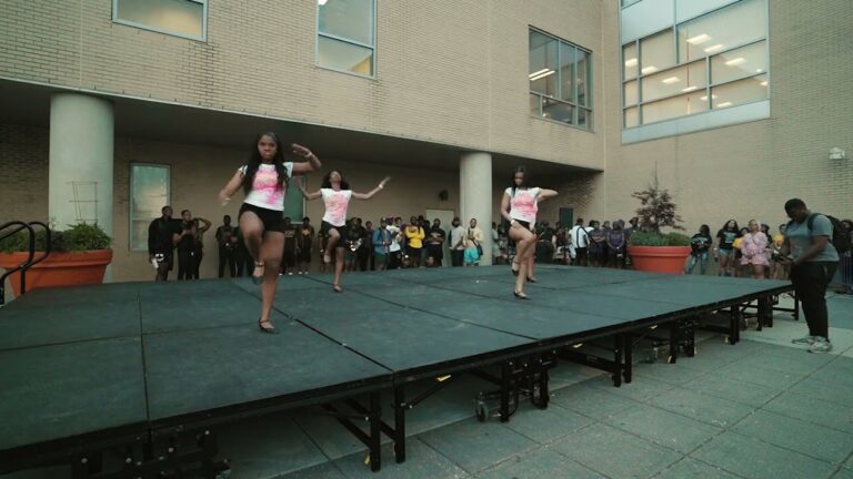 Alpha Kappa Alpha Sorority, Inc. Alpha Delta Chapter, Morgan State NPHC Blockshow