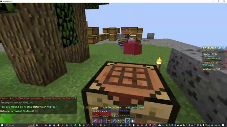Hypixel Skyblock’s best money making method