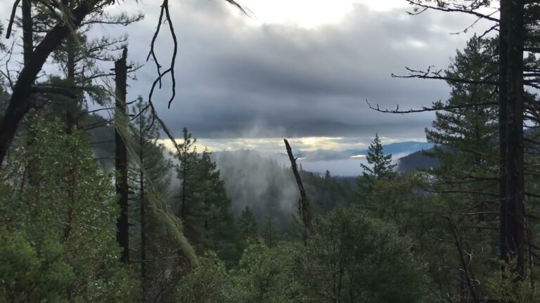 The Brotherhood Of Light And Chemistry (Audiobook)