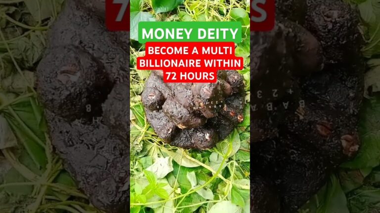 Money Deity: Become A Multi Billionaire Within 72 Hours