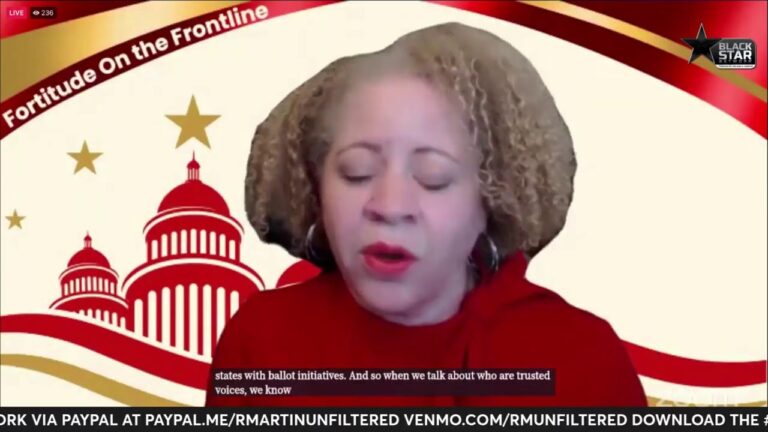 Election 2024 “Black Men Speak” Webinar hosted by Delta Sigma Theta Sorority, Inc