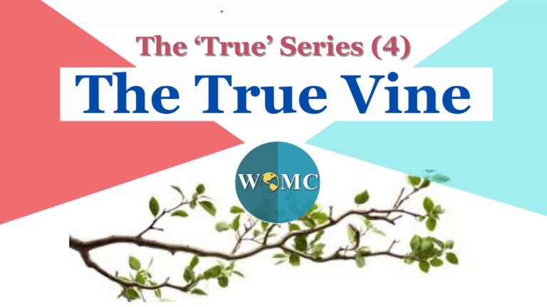 The ‘True’ Series (The True Vine) | Le Yonn Armstrong | 11/03/24