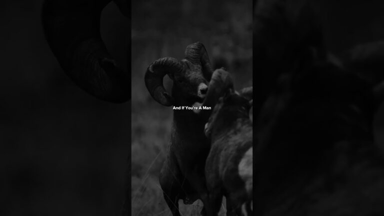 The importance of brotherhood #pathtogreatness #motivation #mindset #mentality?#shorts