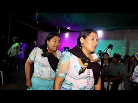 FRATERNIDAD LOS ALEGRES DE MOJOCOYA