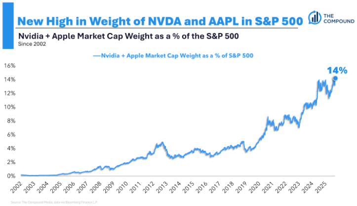 Animal Spirits: A Mania is Brewing