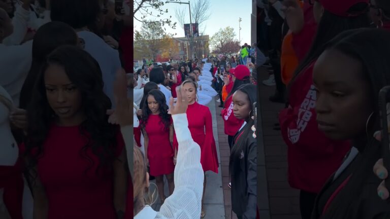 Howard University (Alpha Chapter) Delta Sigma Theta 🐘🔺SP 24