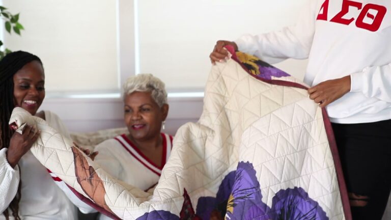 Delta Sigma Theta Special Edition Gift Quilt by Kim Alexis Newton