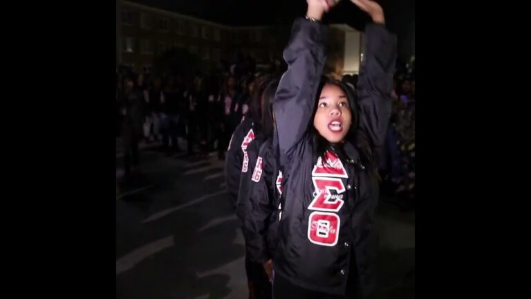 Happy Founders Day to the Ladies of Delta Sigma Theta, Inc. #dst #hbcu